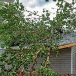 The 4 Most Common Causes of Property Damage