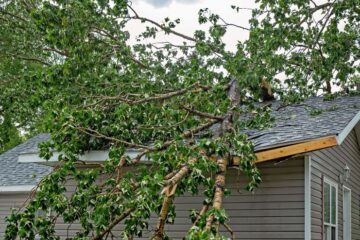 The 4 Most Common Causes of Property Damage