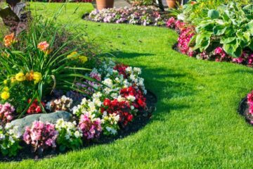 Tips for Transitioning a Winter Garden To Spring