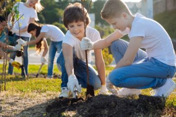The Importance of Planting Trees in Your Front Yard
