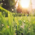 Home Improvement Tasks to Work on in the Spring
