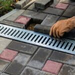 Simple Ways You Can Increase Drainage on Your Property