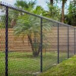 Changes You Should Consider for Your Backyard