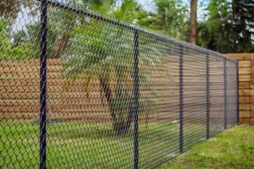 Changes You Should Consider for Your Backyard