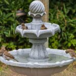 How To Create a Backyard Sanctuary for Birds