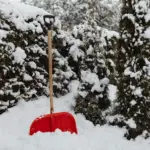 How to Keep Your Allotment from Becoming a Winter Disaster