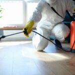 What To Know Before Hiring Rodent Control Services