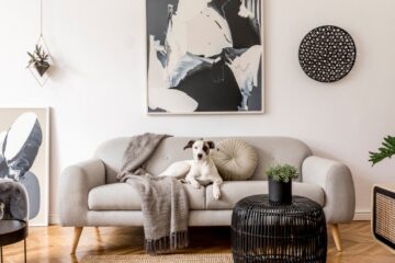A living room with a dog sitting on a gray couch and black and white art prints hanging on the wall.