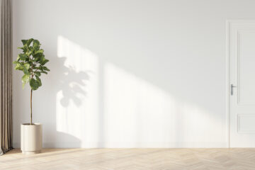 A minimalist room with a white wall, light brown herringbone wood floor, a tall green plant, and a white door.