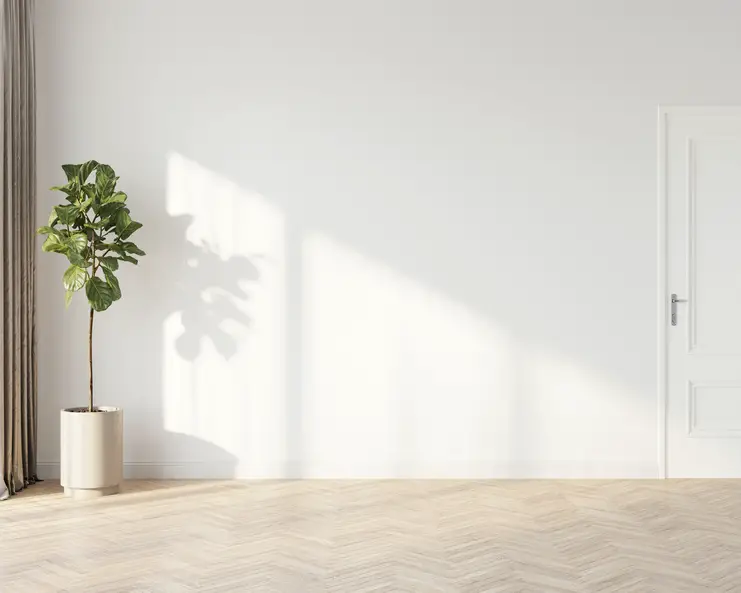 A minimalist room with a white wall, light brown herringbone wood floor, a tall green plant, and a white door.