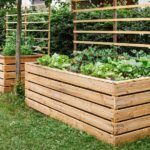 Revitalize Your Garden Beds in the Spring With These Hacks