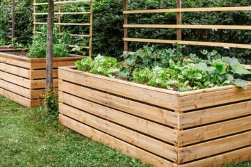 Two large, raised garden boxes side-by-side in the backyard. Inside the beds are a variety of green herbs.