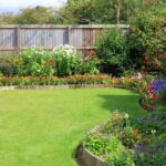 How to Keep Garden Fences Looking Good