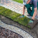 Landscape Design Trends That Embrace Natural Shapes