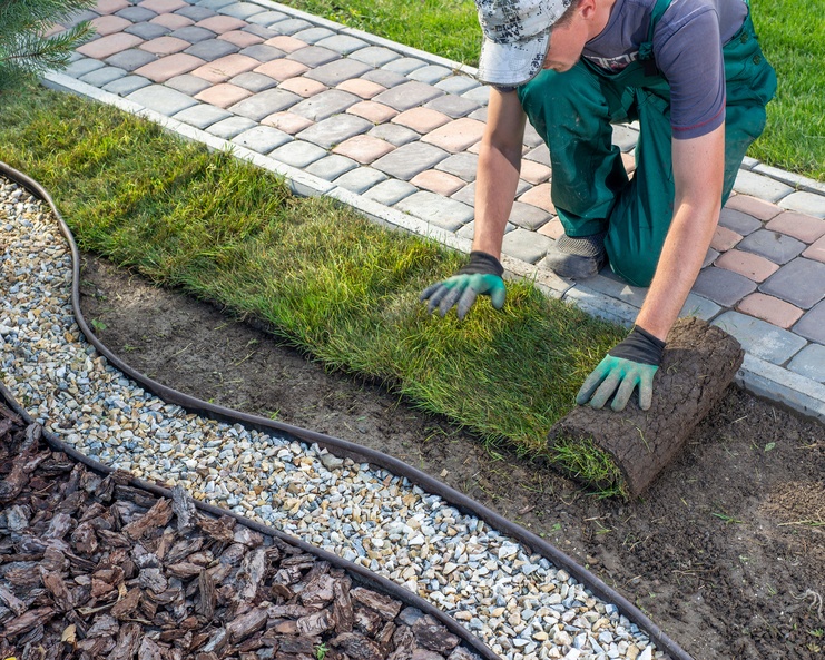 A gardener applying a line of turf onto a open patch of dirt. The dirt is next to a garden bed of rocks.