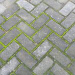 How to Prevent Moss from Growing Between Patio Slabs