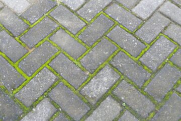 patioblackspotremoval-446447-gray-concrete-tiles-image1