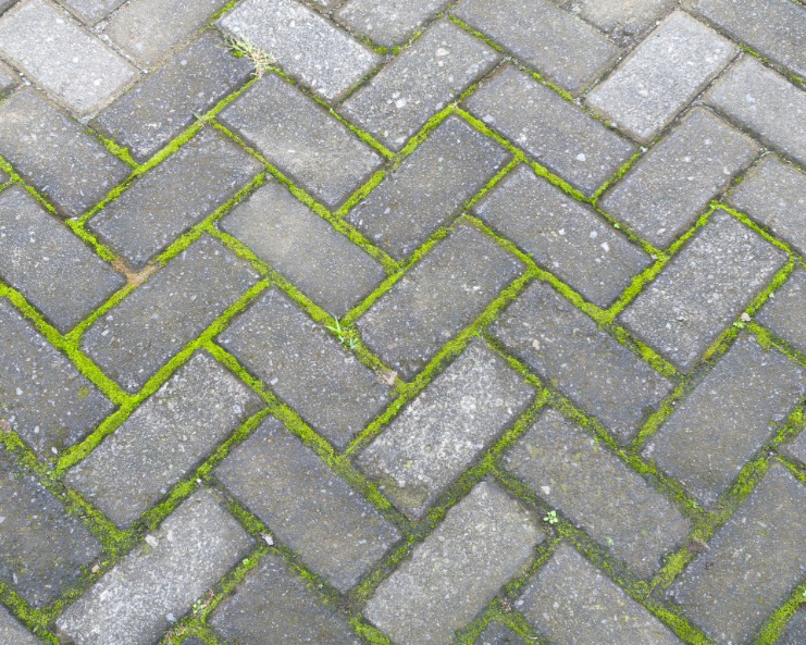 patioblackspotremoval-446447-gray-concrete-tiles-image1