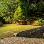 Before You Redesign Your Yard, Look Up and Down